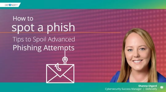 how to spot a phish blog image