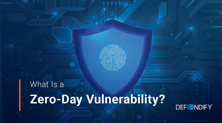 What Does a Zero-day Vulnerability Mean and How to Stay Protected?